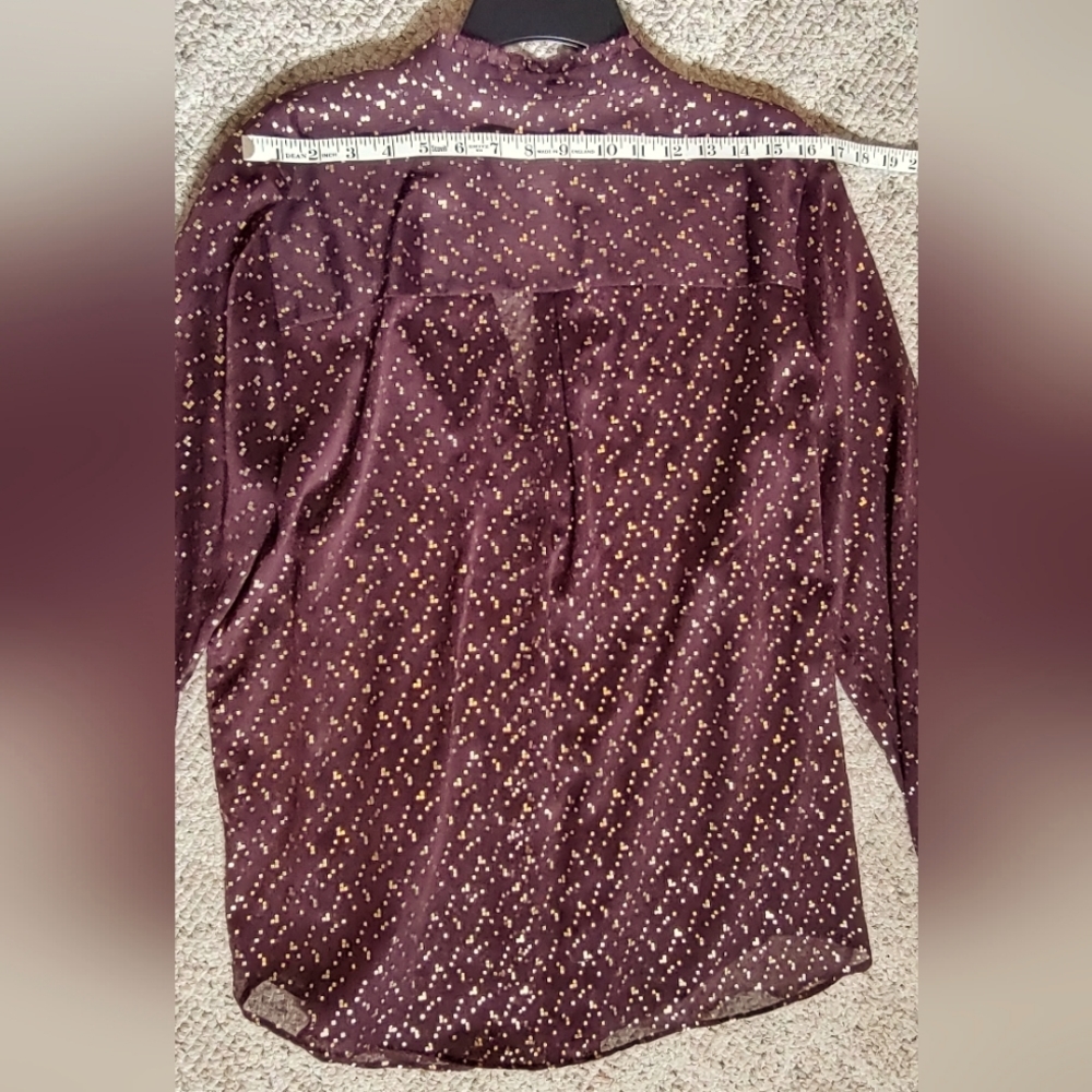 Sheer Blouse with Nice Details - Picture 7 of 8
